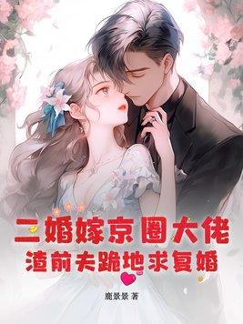 二婚盛嫁