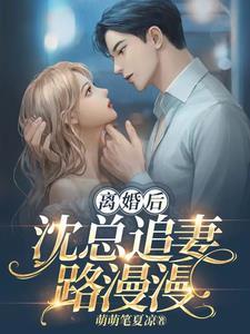 离婚后又追妻