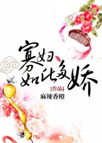 寡妇是什么电视剧全部