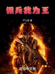 佣兵我为王全本