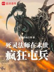 死灵法师mc