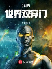 我的世界双向门