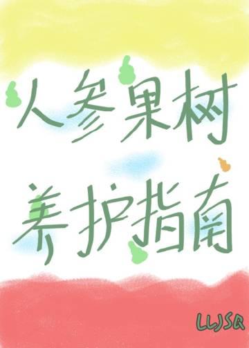 人参果树怎么栽培