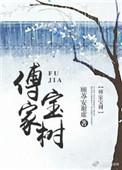 傅家什么电视剧