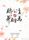 娇公主与莽驸马讲的什么