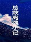 总裁离魂小记宝书网