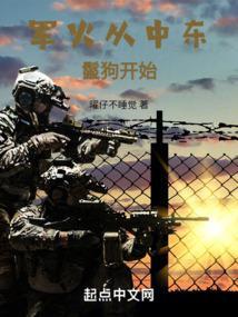 军火从中东鬣狗开始免费阅读