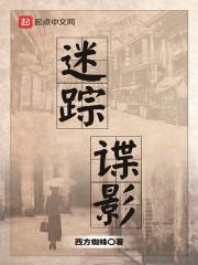 迷踪谍影类似