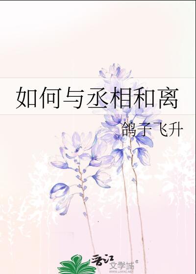 如何与丞相和离番外讲的什么
