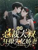 闪婚大叔用力宠免费读