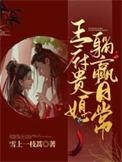 王府贵妻安全文免费阅读