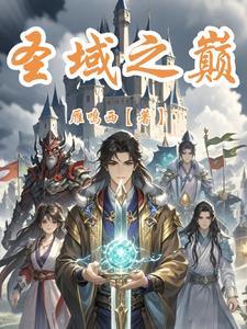 圣域 攻略