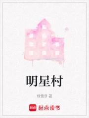 明星村怎么理解