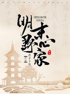 明末总野心家