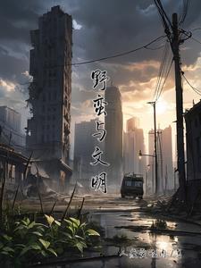 野蛮与文明的冲突