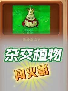 我在火影建忍村