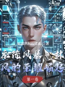 林鸿风系统