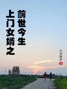 上门女婿原著