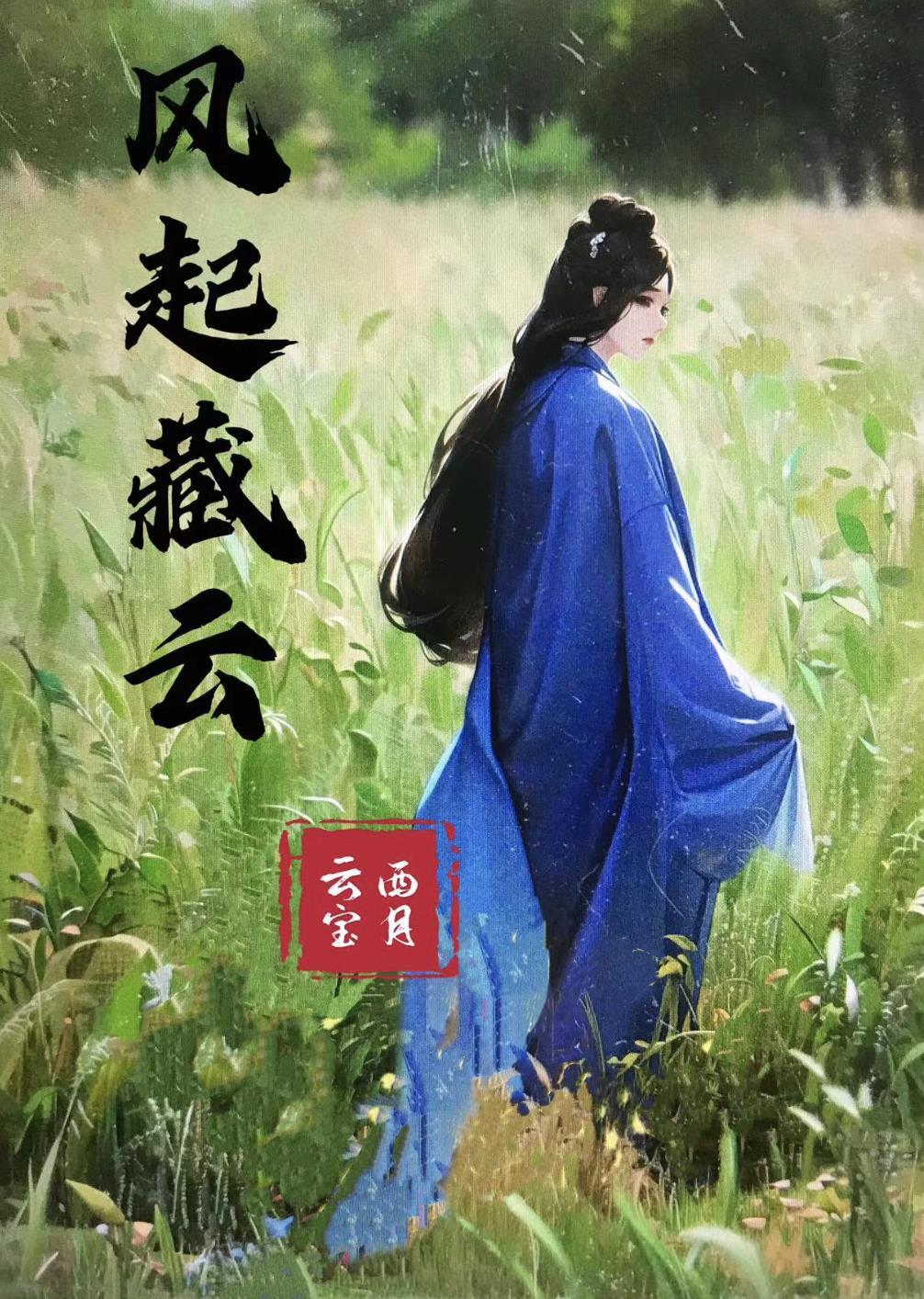 风起云赏