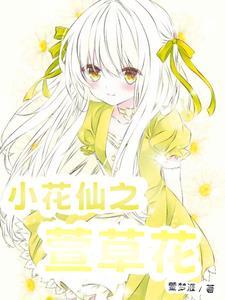 小花仙之萱草花\n作者萱梦涯