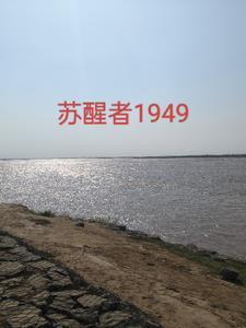 苏醒之路视频