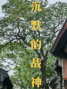 沉默的二少