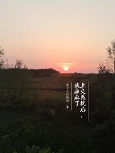 我被系统上身