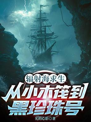 辐射岛沉船