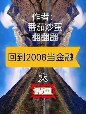 回到2008的男主