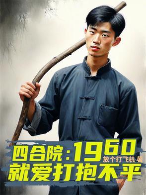 四合院1960就爱打抱不平全文阅读