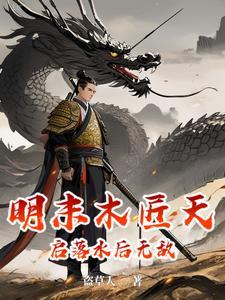 天启的木匠作品