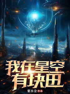 我在星空下作文