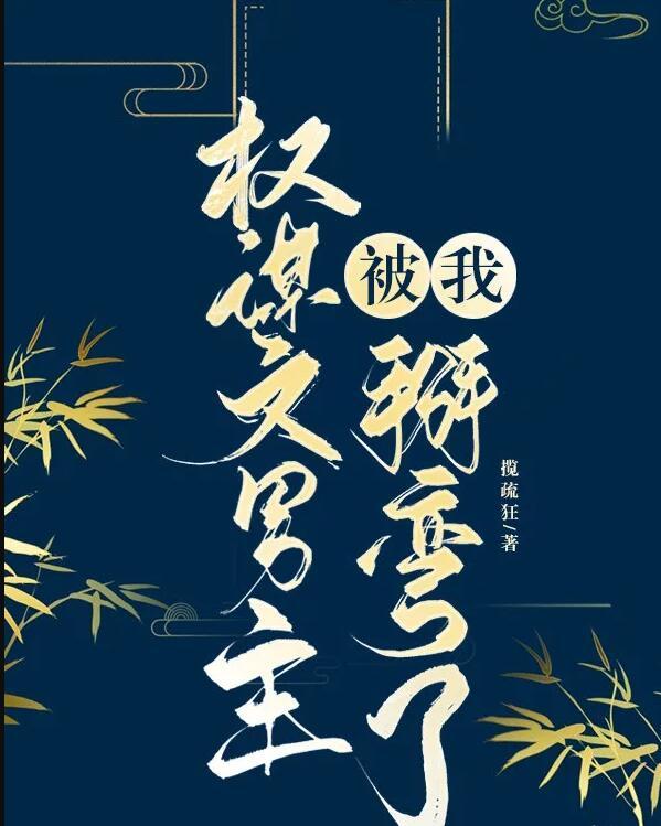 权谋文男主被我掰弯了讲的什么