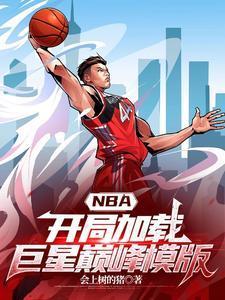 nba之开局巅峰加内特