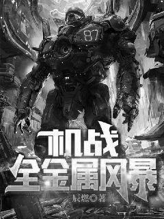 机战风暴百科