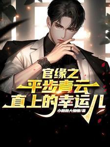 官场之平步青云