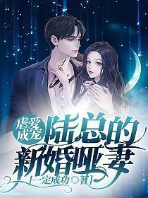 虐爱成宠陆总的新婚哑妻免费阅读
