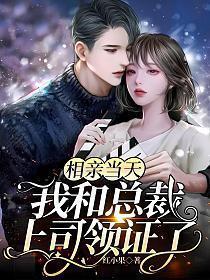 相亲当天我和总裁上司领证了