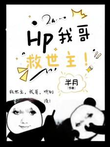 hp救世主哥哥不好当