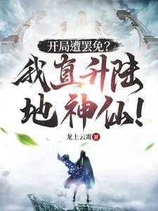 开局被直升机女神求爱免费阅读