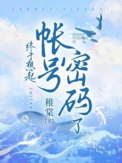 账号的密码忘记了怎么办