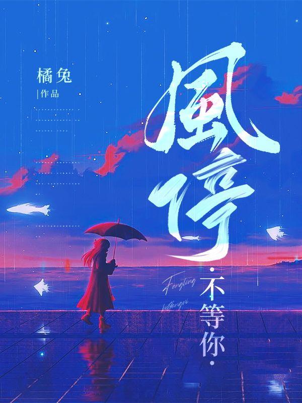 风不会停什么意思