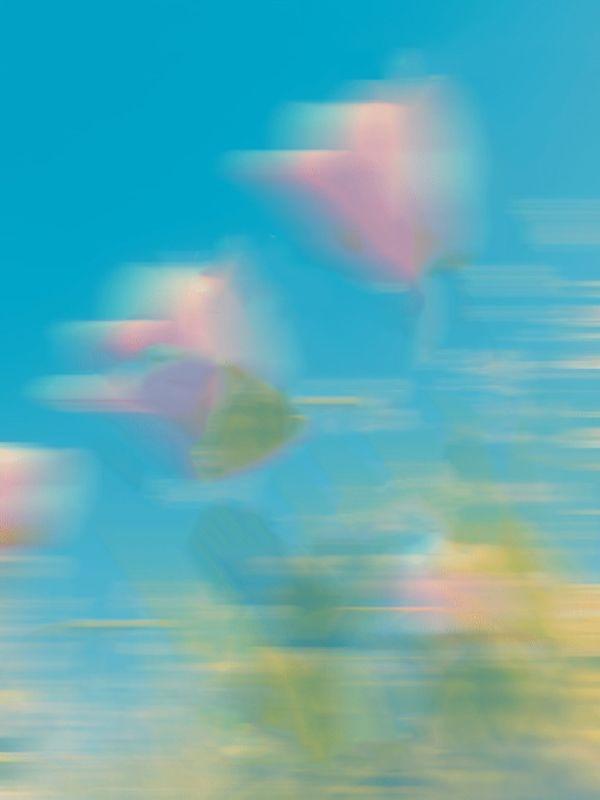 有婆婆不如没有