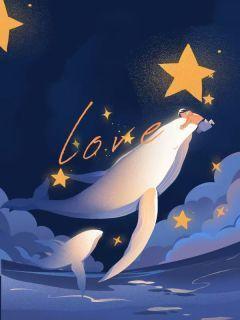 101次求婚哪年拍的