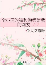 全小区宠物都是我的眼睛