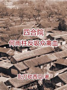 四合院傻住
