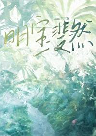 明宝斐然百度txt