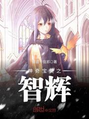 神奇宝贝之智辉txt精校