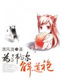 为师与尔解道袍作者药丸儿人百度