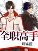 全职高手2